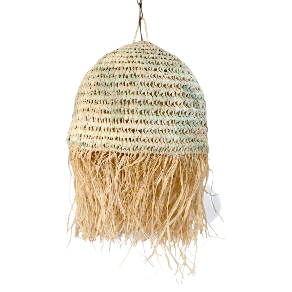 Palm Leaf Pendant Light