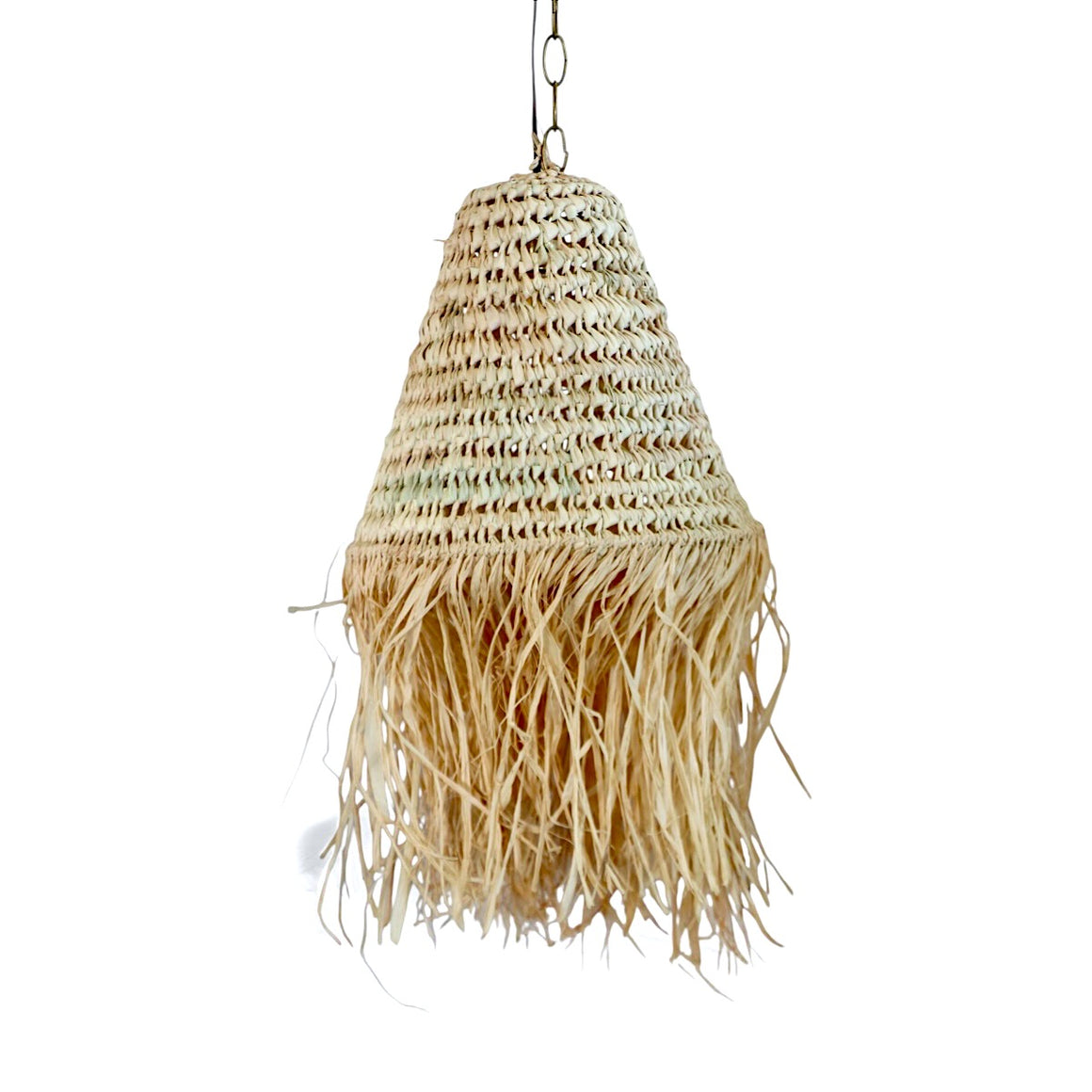 Boho Palm Leaf Pendant Light